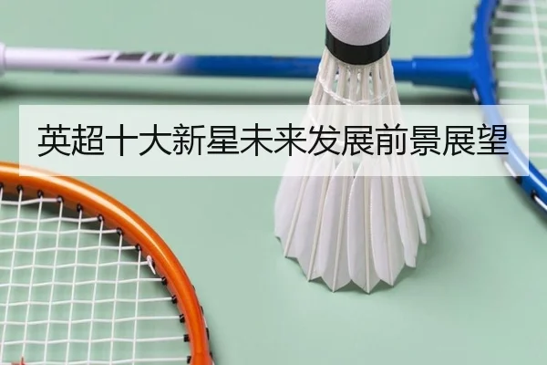 英超十大新星未来发展前景展望